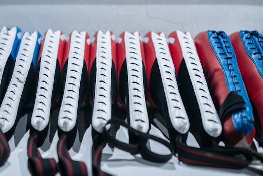 Jak casina a bojové sporty tvoří výhodné partnerství